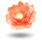 Spin Samurai: Best Online Casino | Top Online Casino for Real Money - Spinsamurai casino